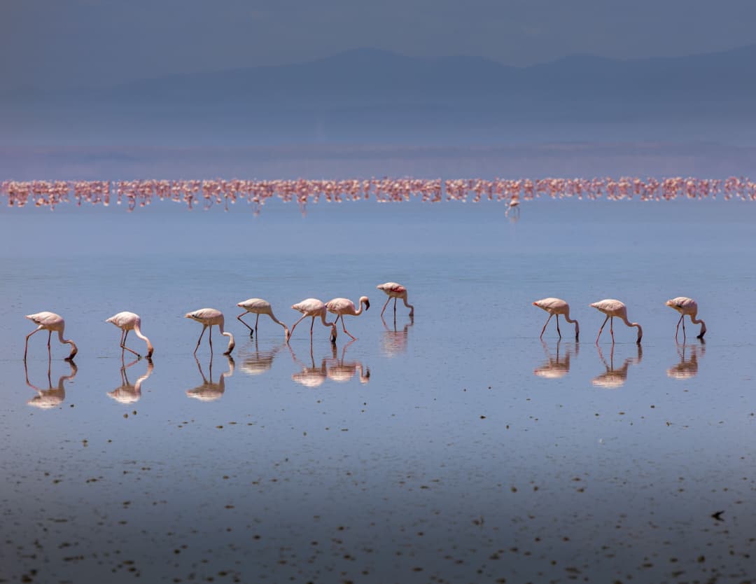 natron